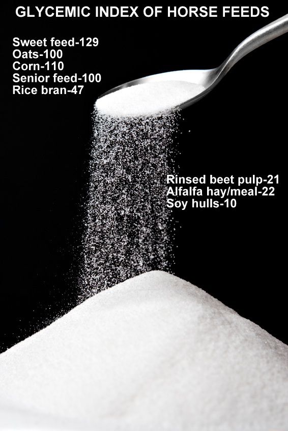 GLYCEMIC INDEX OF HORSE FEEDS AND WHY IT IS CRITICAL FOR YOUR IR